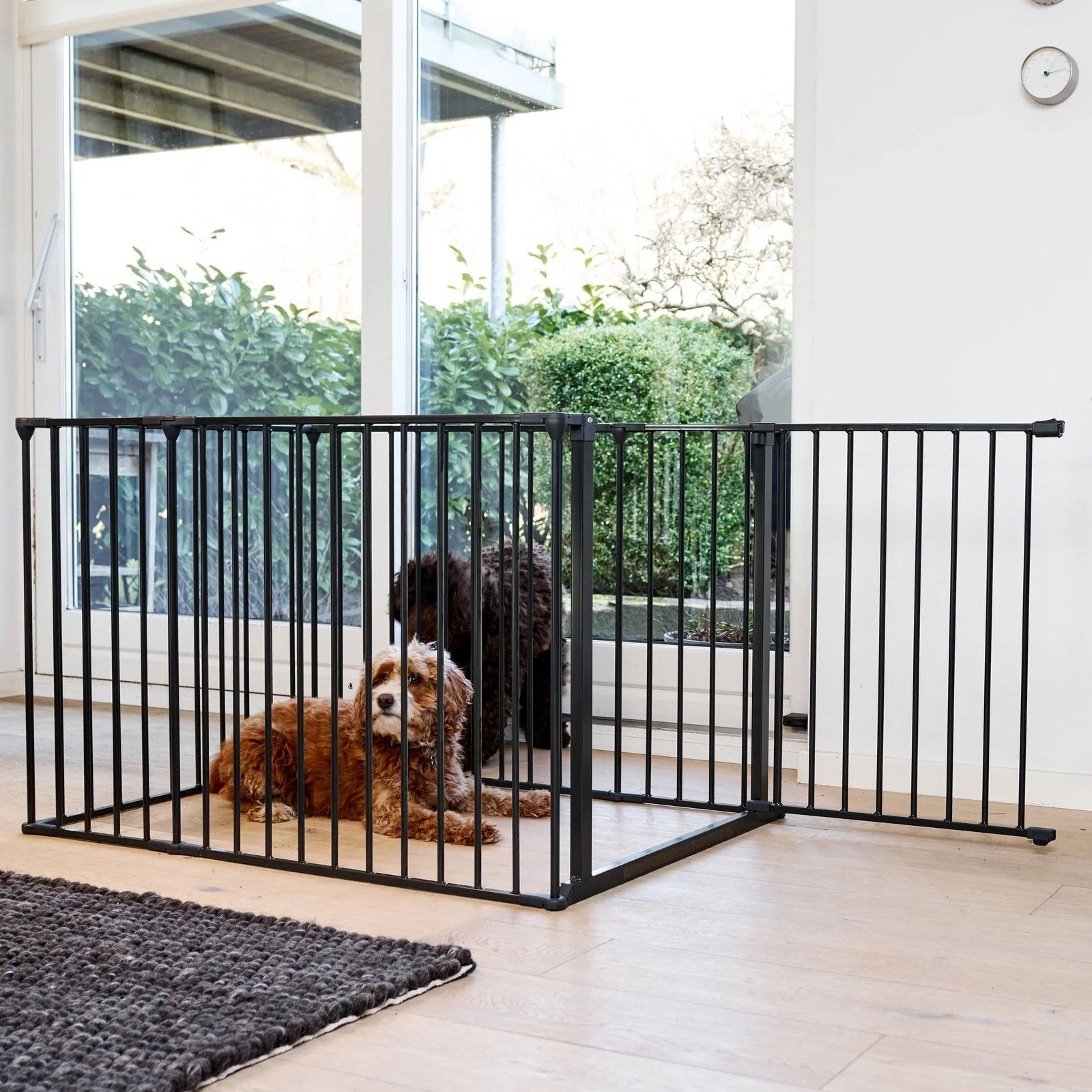 Svart DogSpace Max valphage